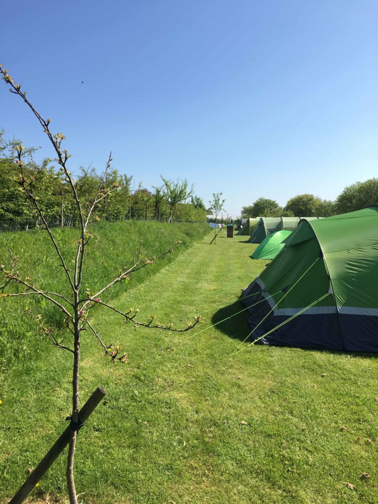 Watercress-lodge-campsite-tents