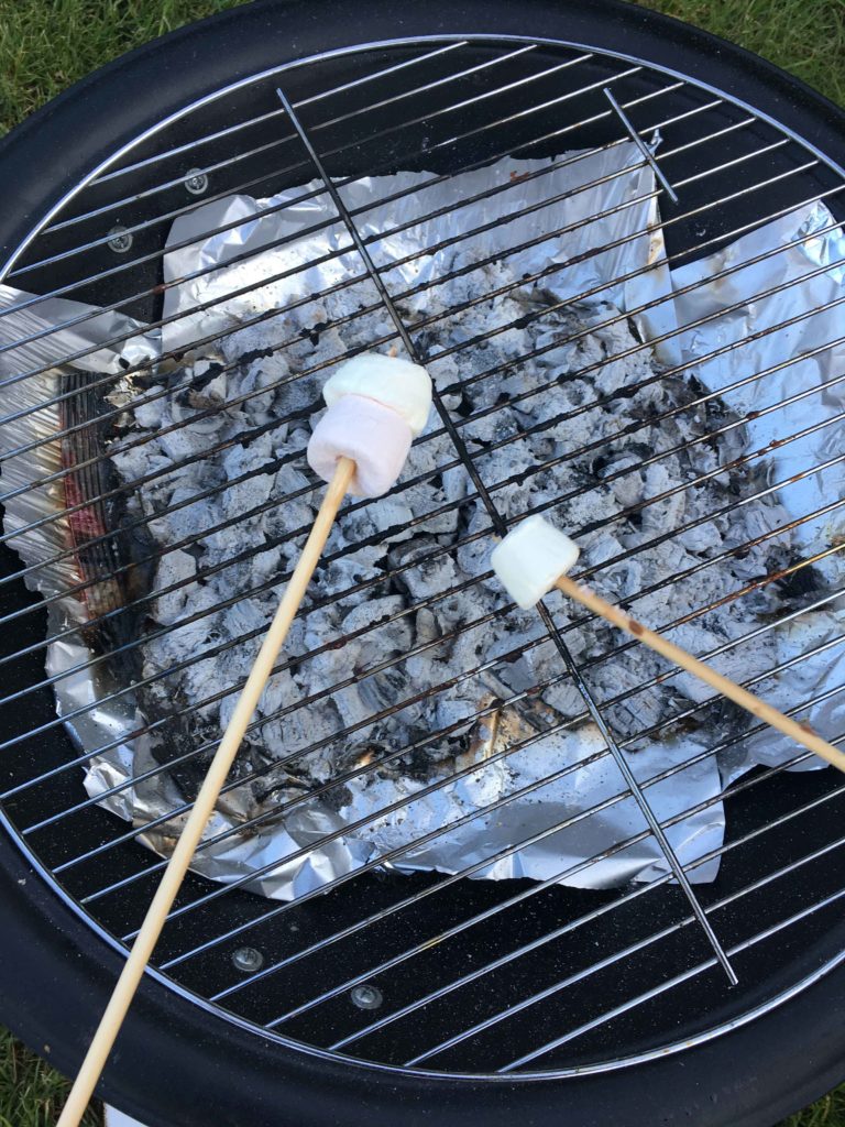 roasting-marshmallows