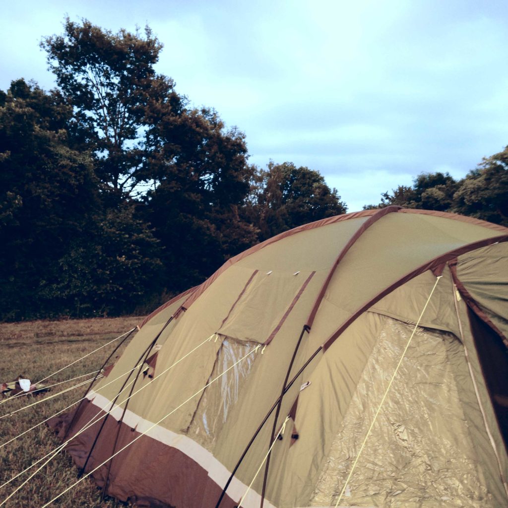 Camping-Abbotstone-Wood